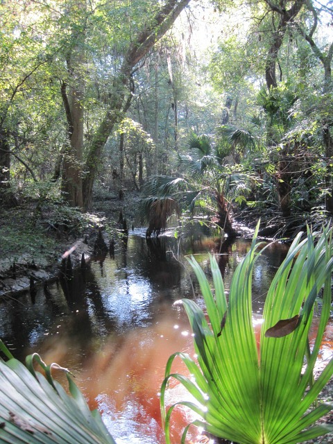 Oct 14 2011 078b.jpg