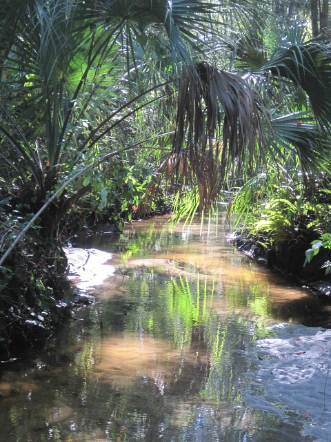 Oct 14 2011 102a.jpg