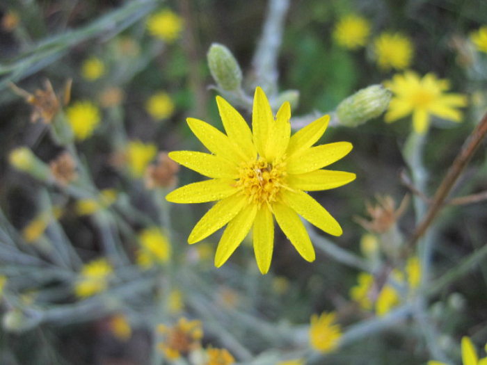 Oct 24 2011 053d.jpg