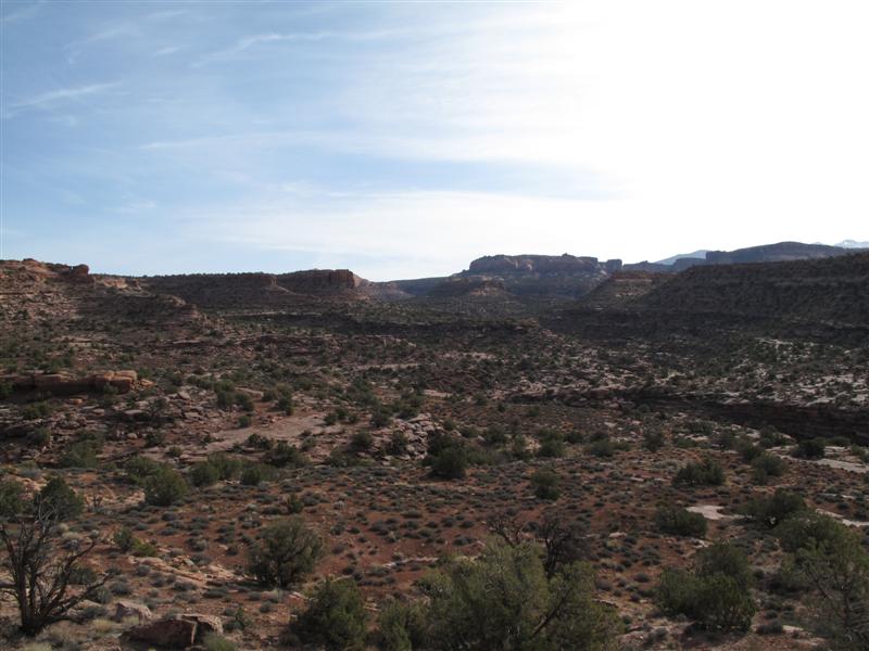 IMG_2413 (Medium).JPG