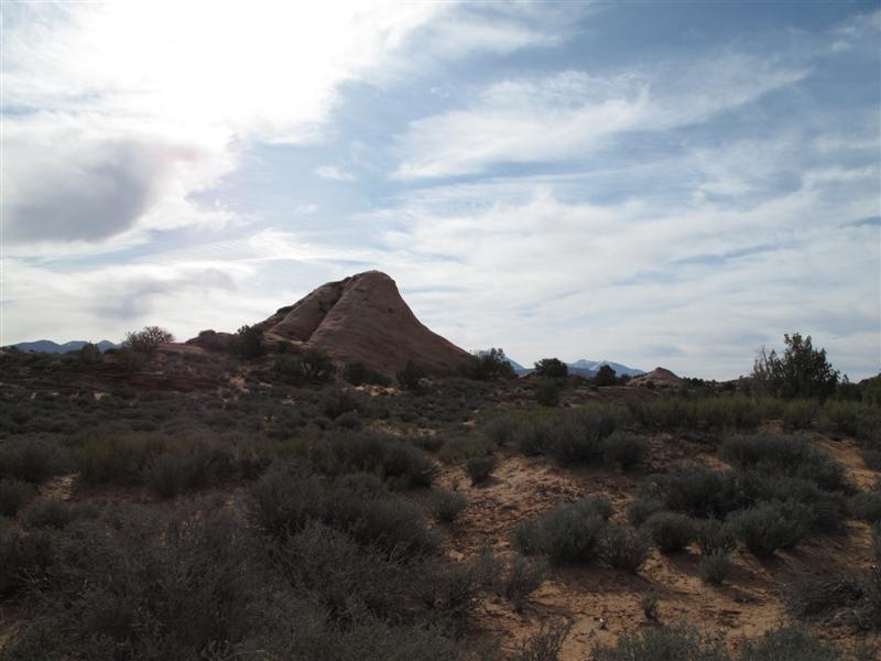 IMG_2485 (Medium).JPG