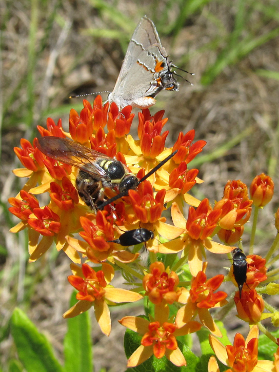 Apr 26 2012 04.jpg