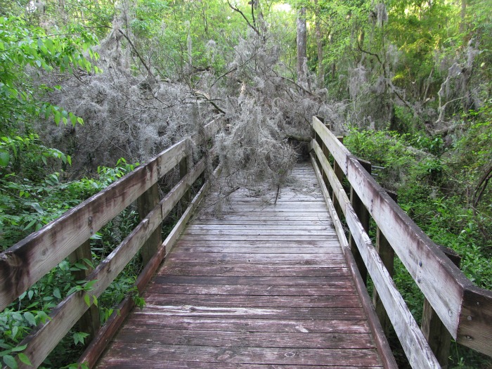 Mar 06 2012 01.jpg