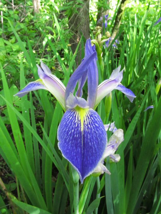 Mar 12 2012 01.jpg