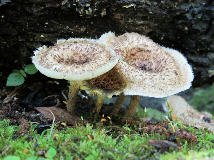 Mar 12 2012 04.jpg
