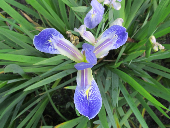 Mar 12 2012 02.jpg