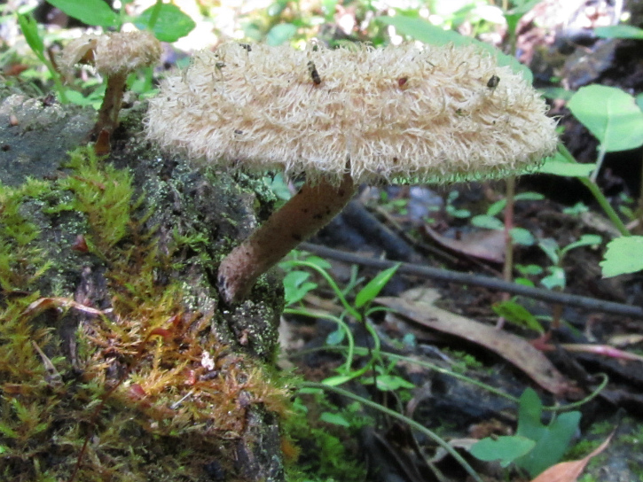 Mar 12 2012 05.jpg