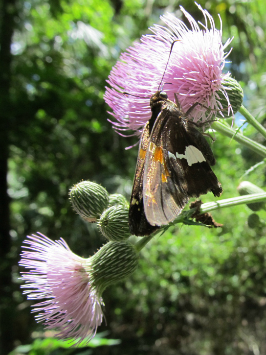 Apr 30 2012 02.jpg