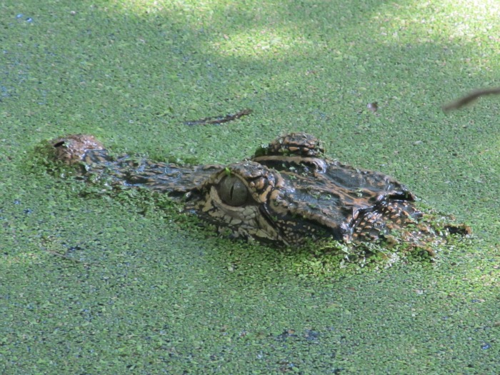 Apr 09 2012 02.jpg