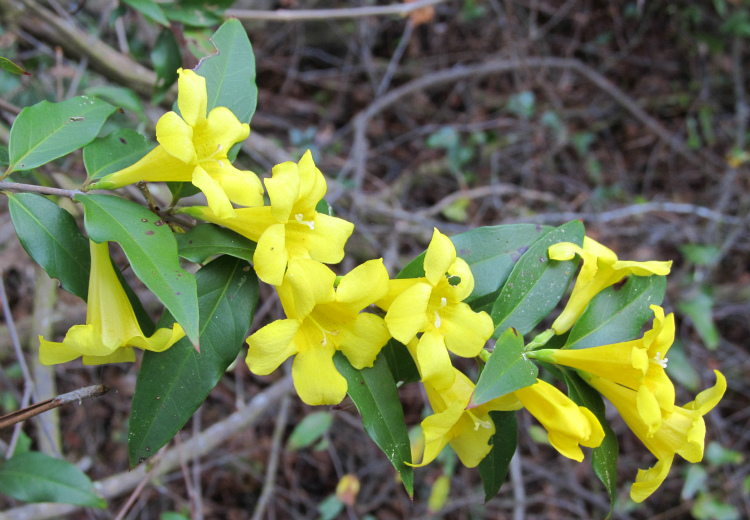 Feb 08 2012 03.jpg