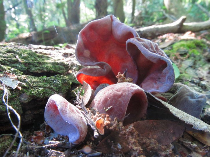 Mar 13 2012 03.jpg
