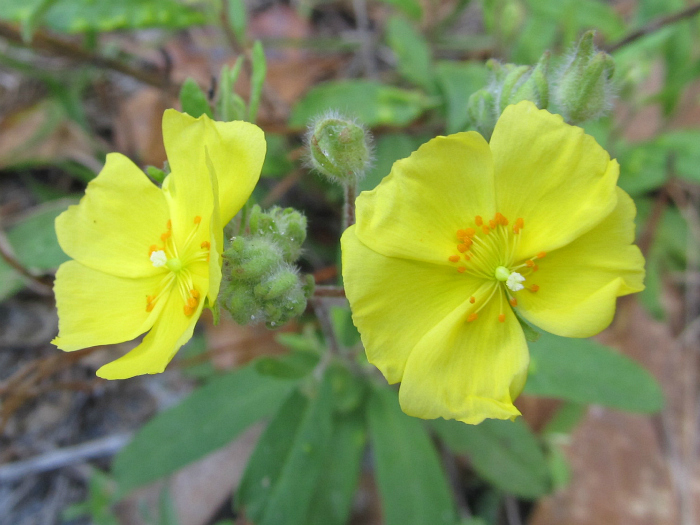 Mar 14 2012 025.jpg