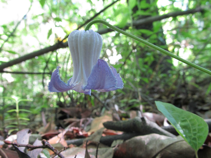 Mar 13 2012 02.jpg