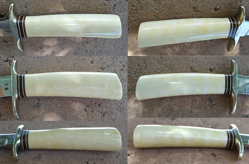 ivory-360-deg.jpg