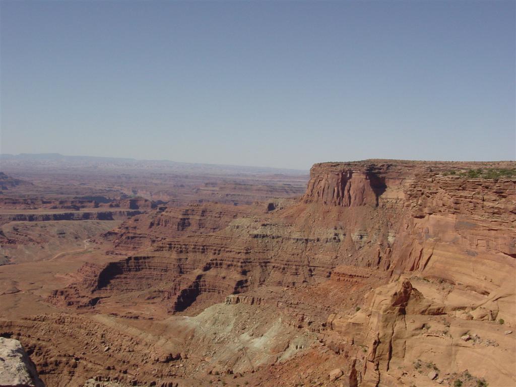 DSC02535 (Large).JPG