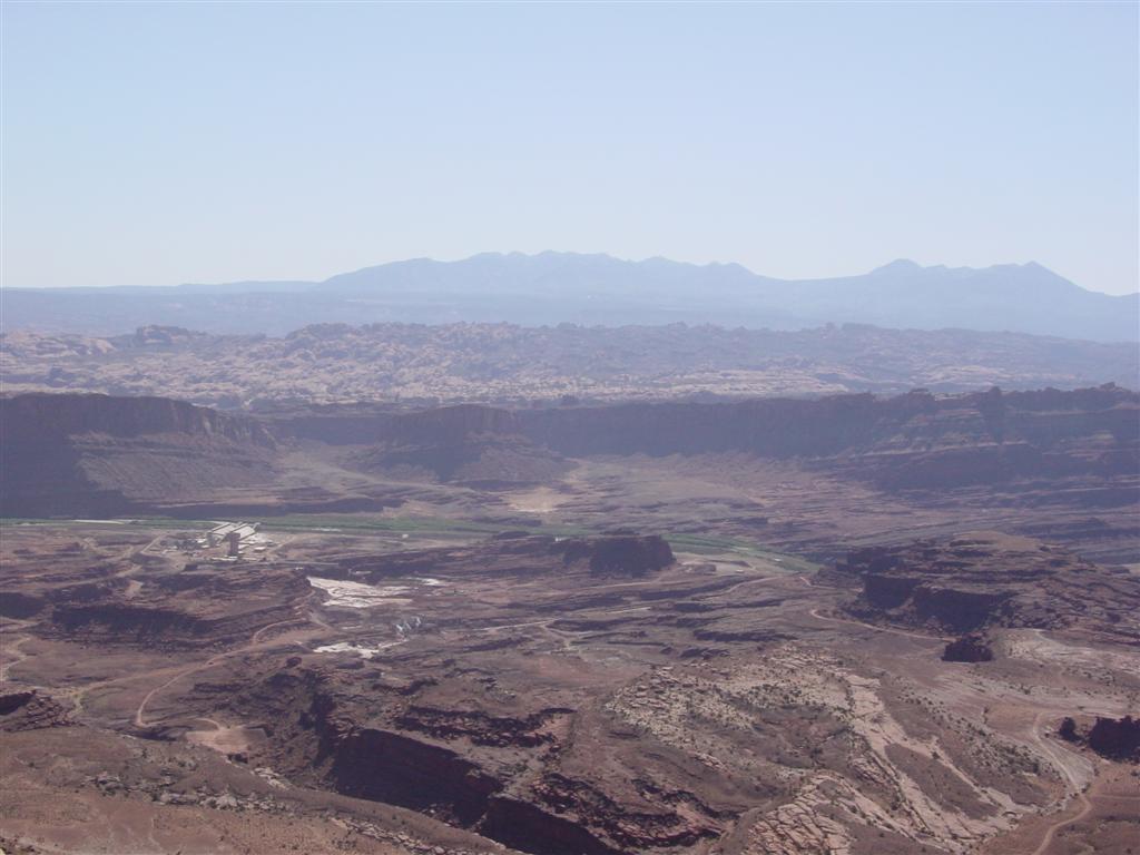 DSC02547 (Large).JPG