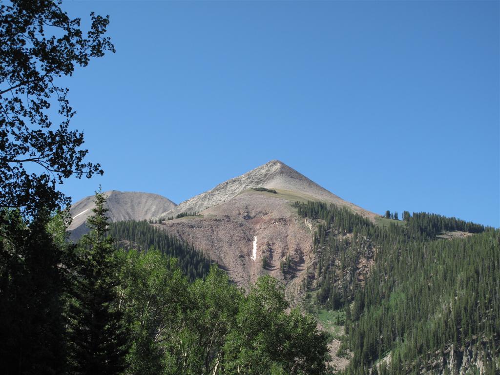 IMG_3106 (Large).JPG
