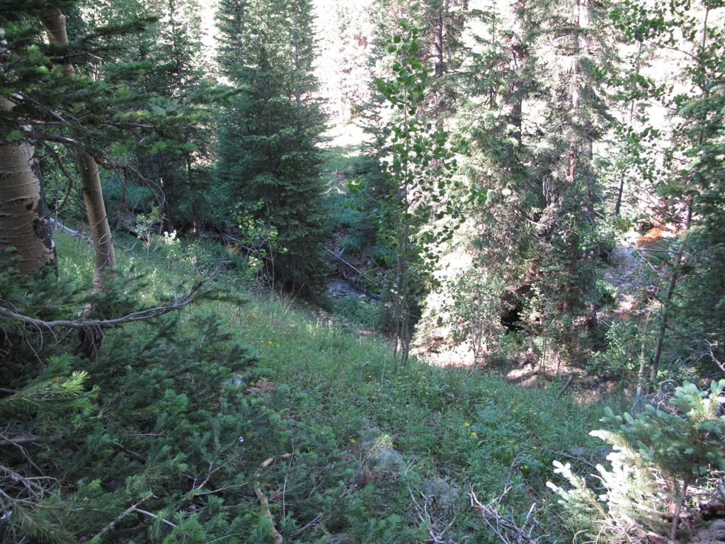 IMG_3109 (Large).JPG