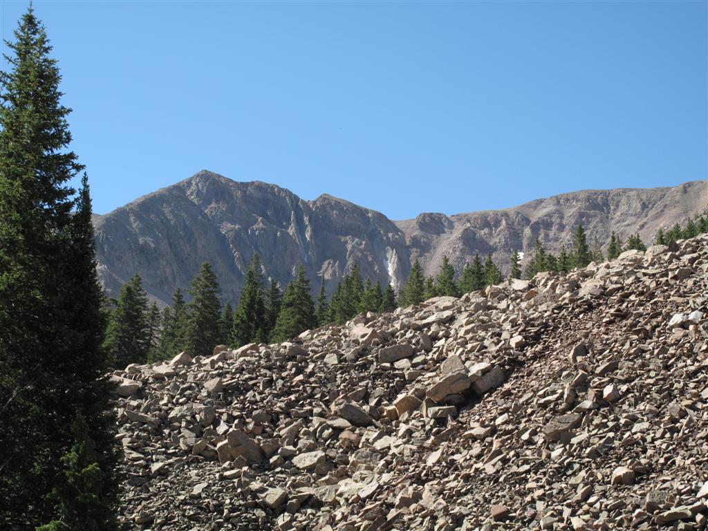 IMG_3114 (Large).JPG