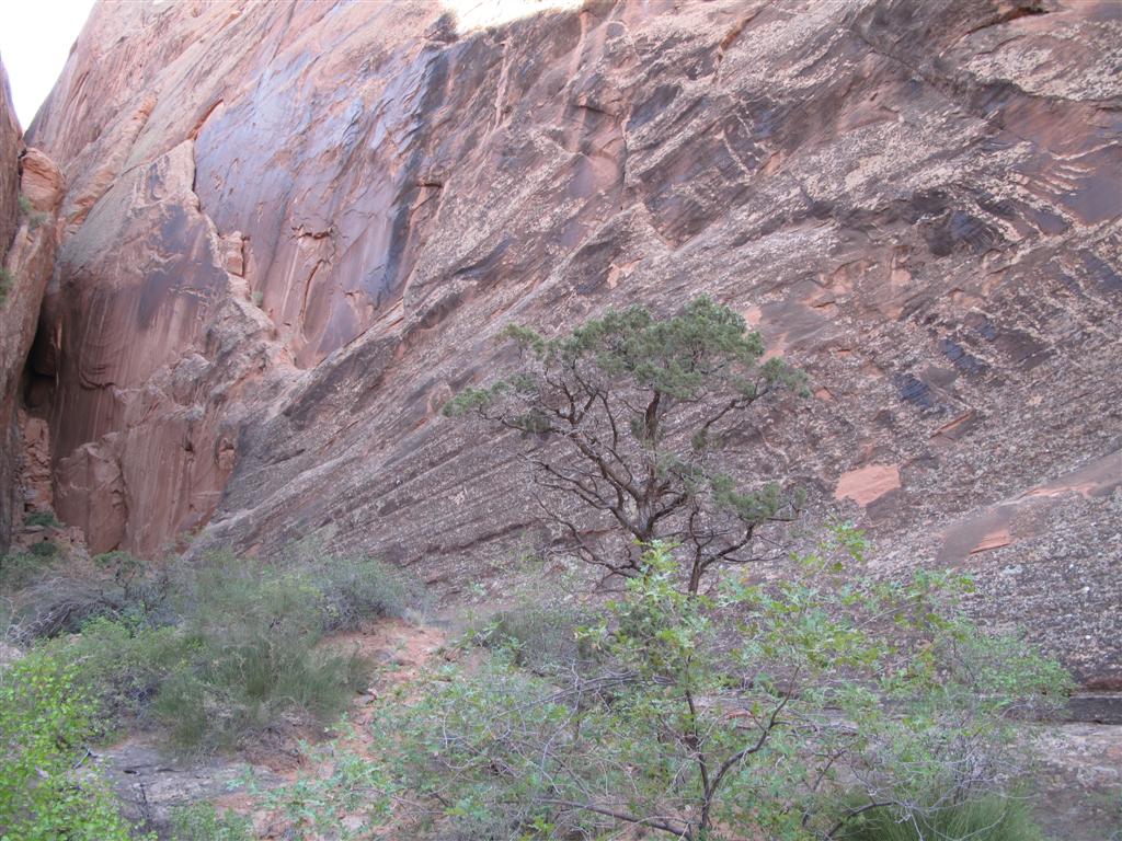 IMG_3189 (Large).JPG