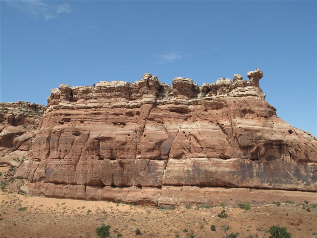 IMG_3255 (Large).JPG