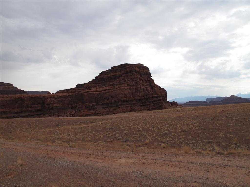 IMG_3285 (Large).JPG
