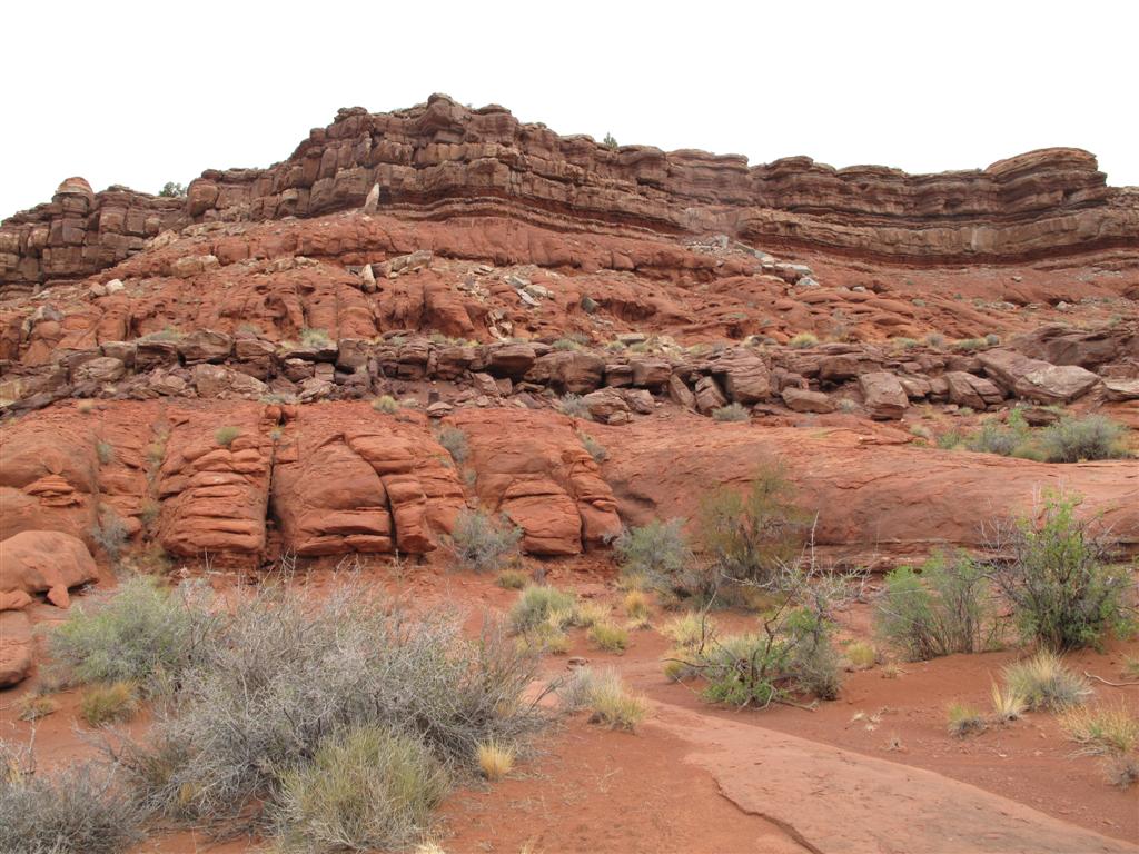 IMG_3286 (Large).JPG