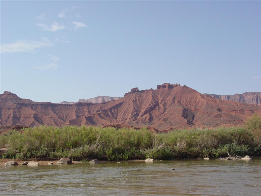 DSC02577 (Large).JPG