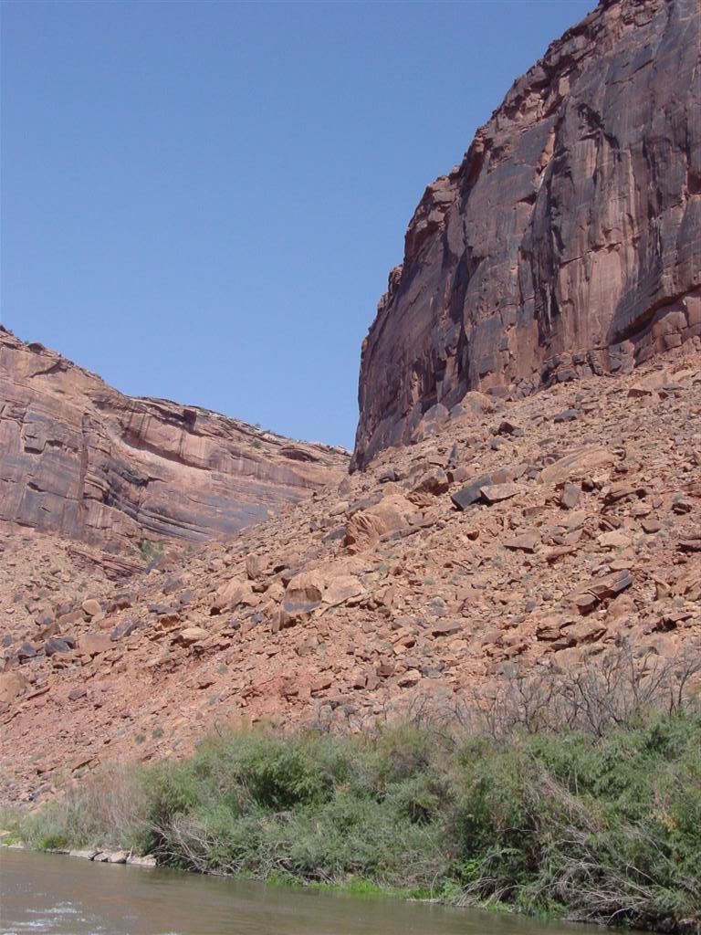 DSC02598 (Large).JPG