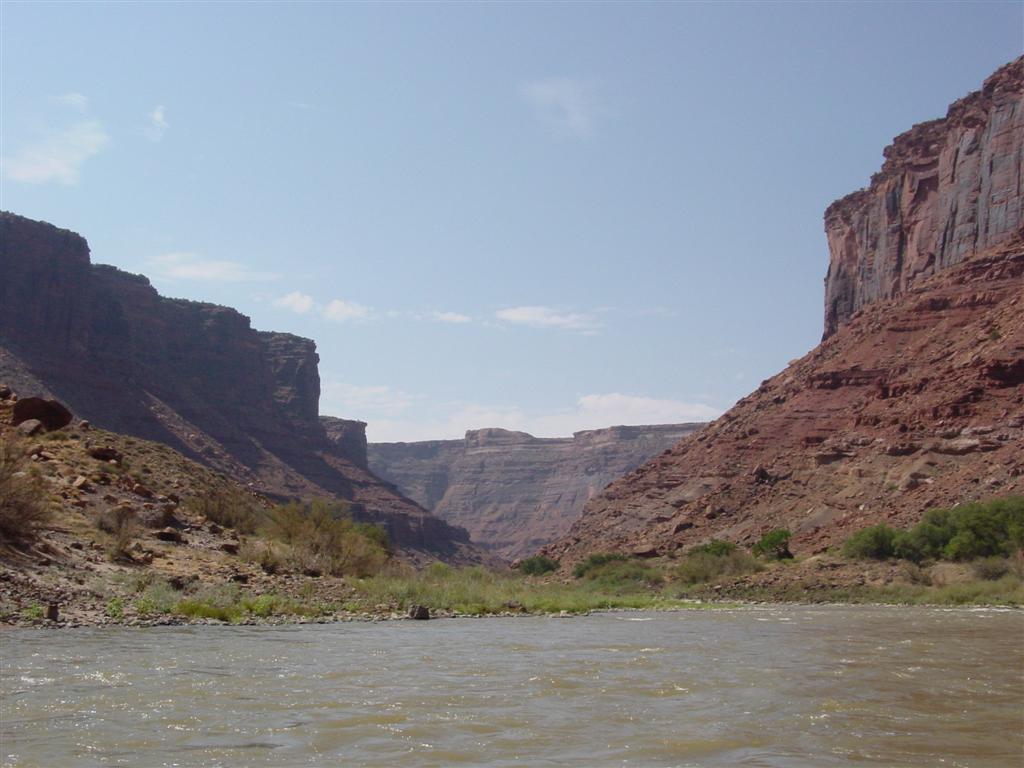 DSC02611 (Large).JPG