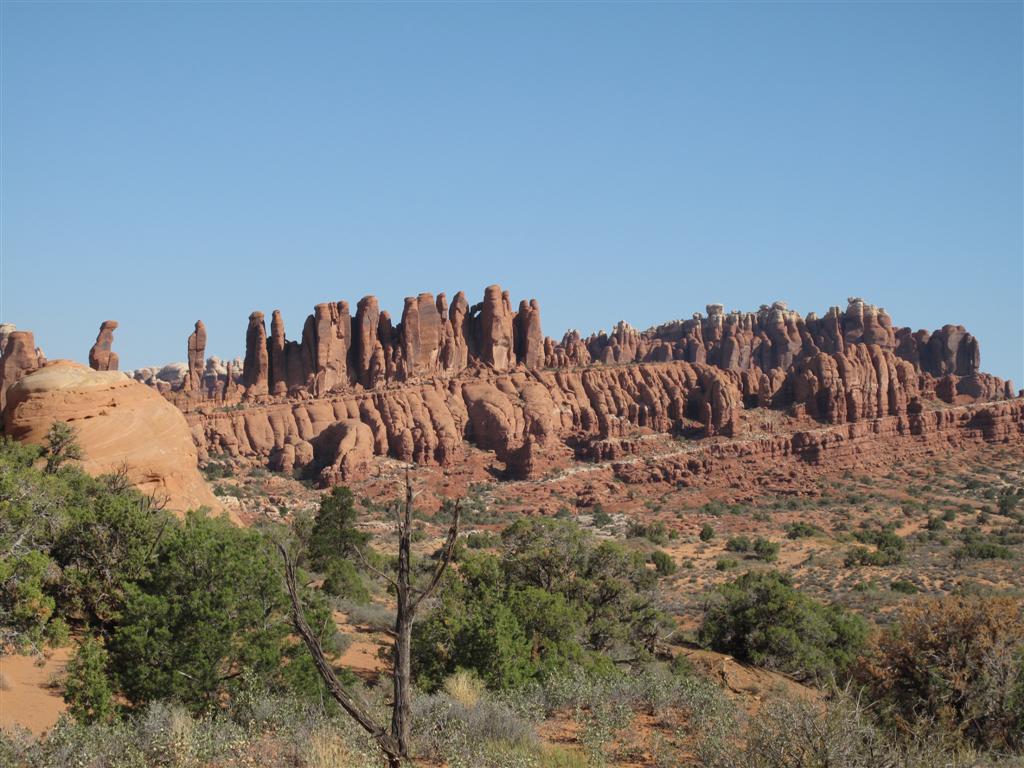 IMG_3848 (Large).JPG