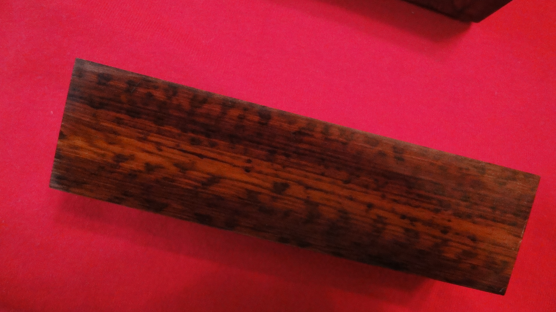 DSC00382.JPG