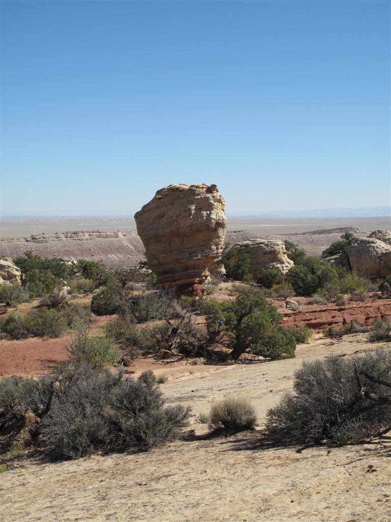 IMG_4078 (Large).JPG