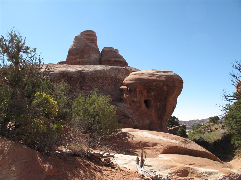 IMG_4082 (Large).JPG