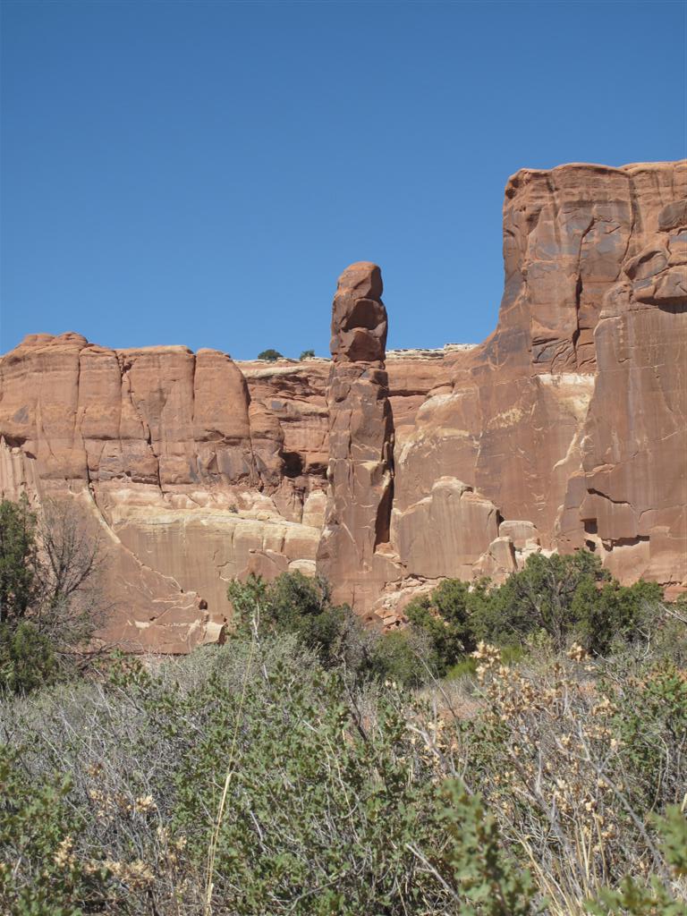 IMG_4103 (Large).JPG
