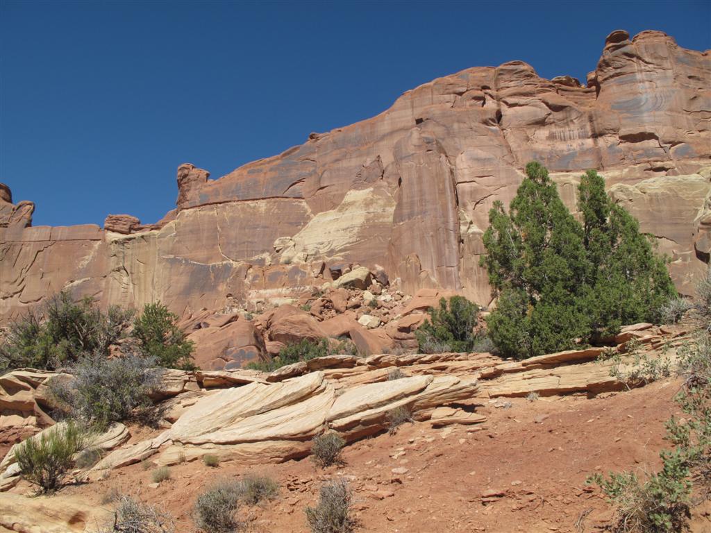 IMG_4104 (Large).JPG