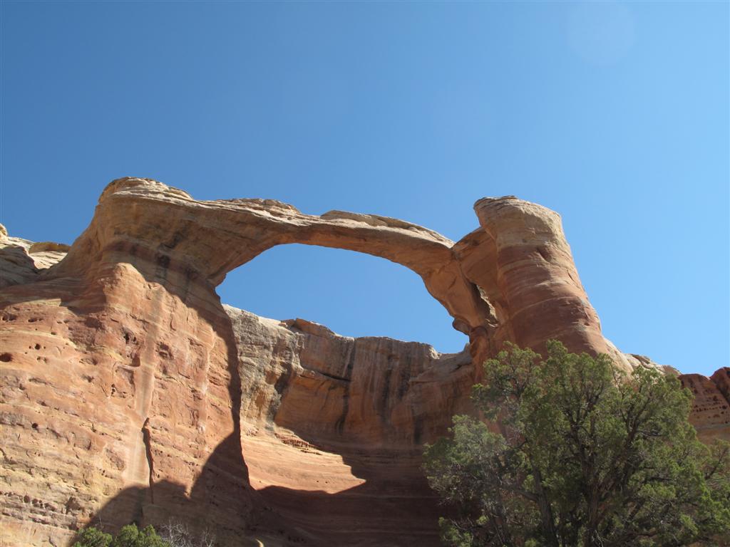 IMG_4134 (Large).JPG