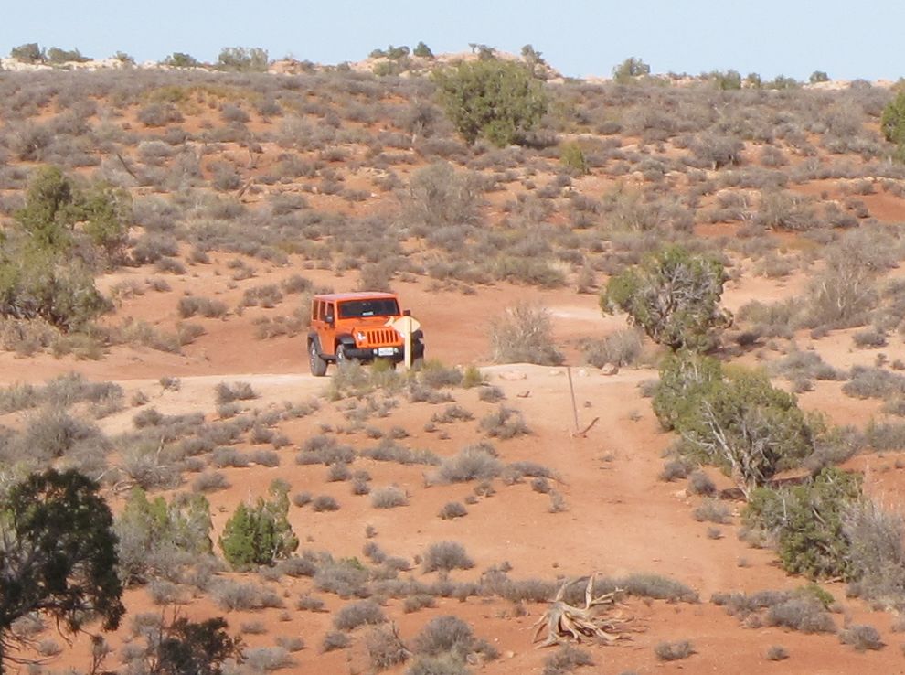 jeepwhale.jpg