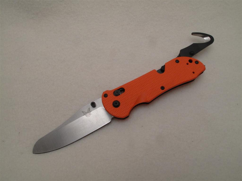 IMG_4267 (Large).JPG