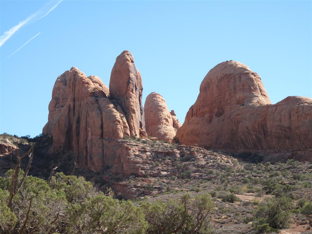 IMG_4339 (Large).JPG