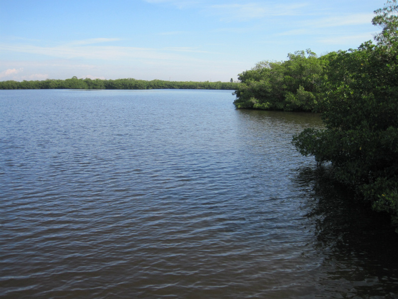 estuary 01.jpg
