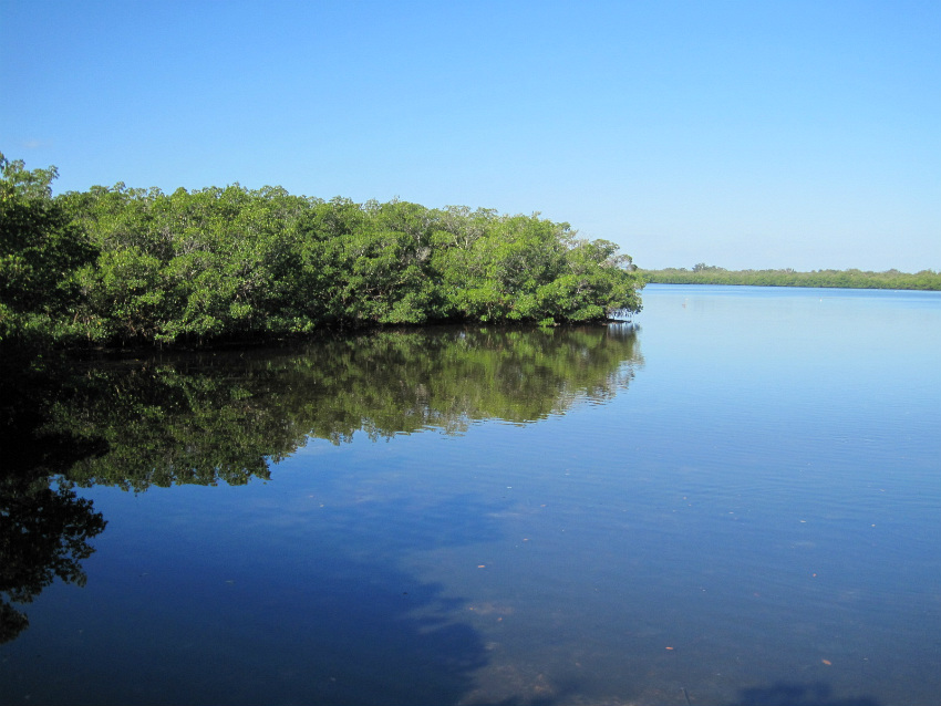 estuary 02.jpg