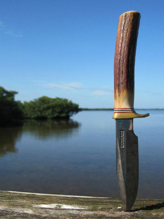 estuary 03.jpg