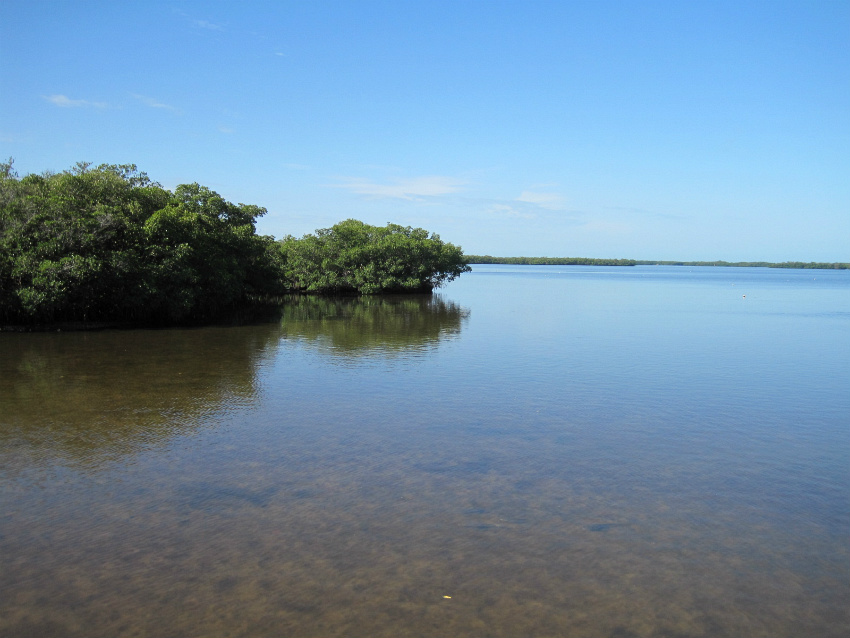 estuary 16.jpg