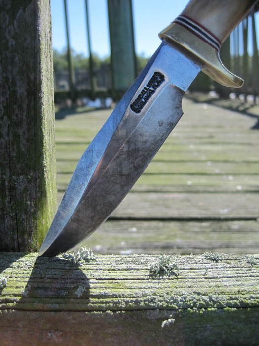 estuary 24.jpg