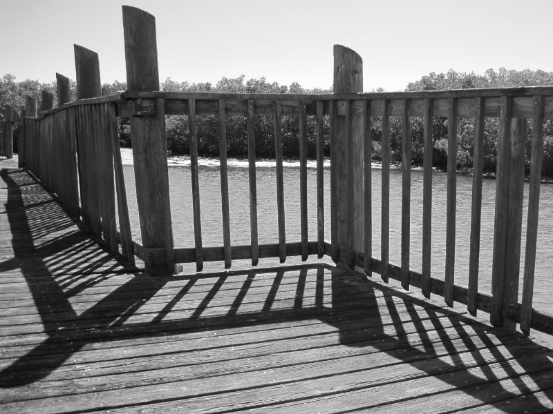 estuary 30.jpg