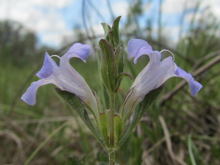 May 03 2012 07.jpg