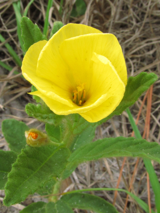 May 04 2012 01.jpg