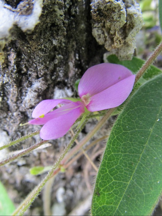 May 04 2012 02.jpg