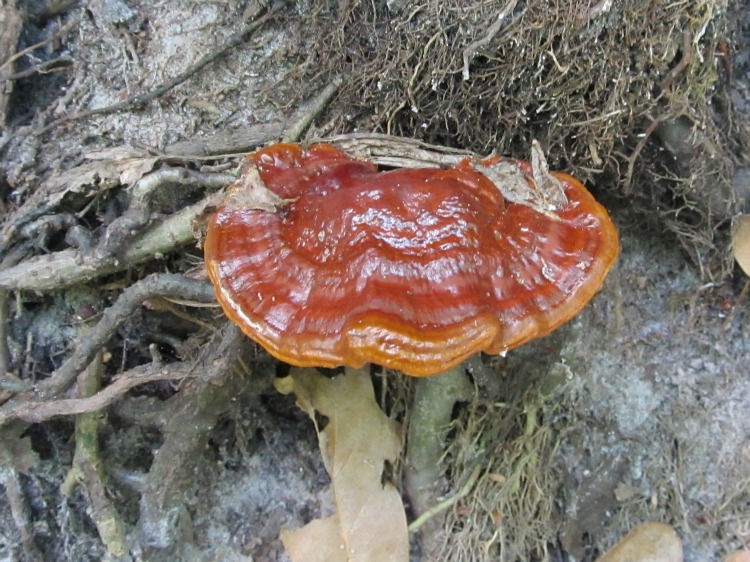 May 03 2012 01.jpg